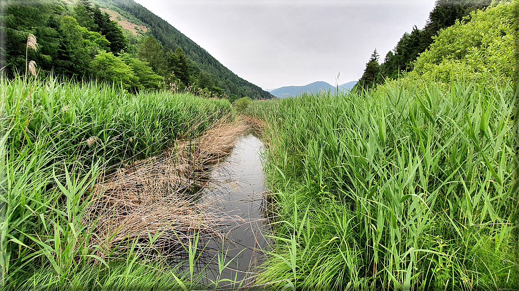 foto Lago di Lases